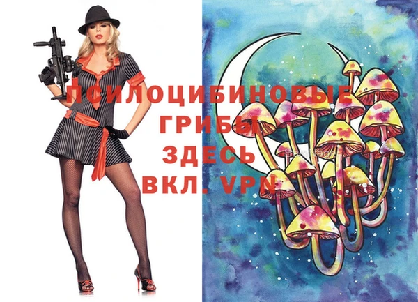 прущая мука Переславль-Залесский