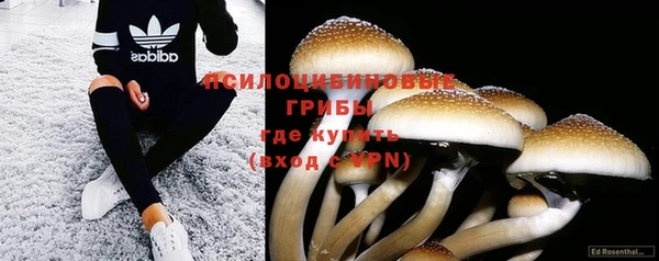 МДПВ Остров