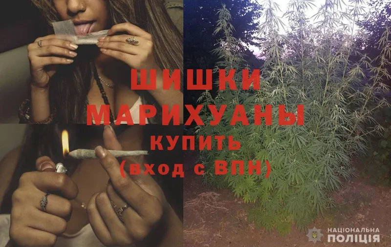 купить закладку  Красный Кут  Бошки Шишки White Widow 